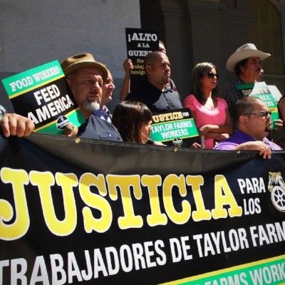 泰勒农场的正义运动