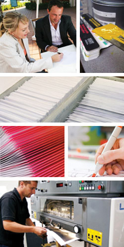 Products & Services
