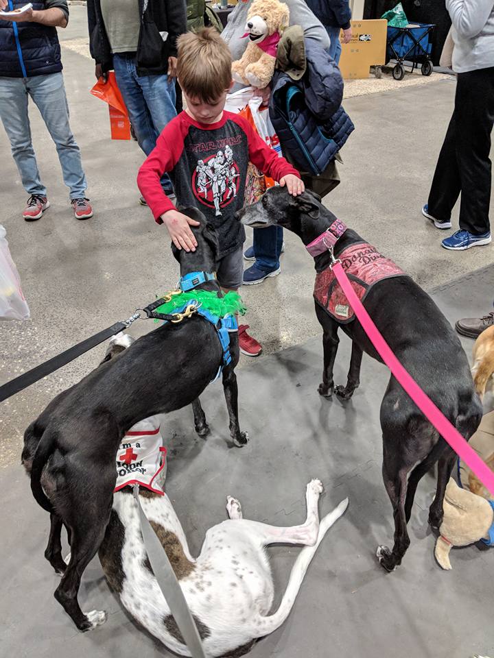 Three Dog Bakery - Camelot Court - Leawood