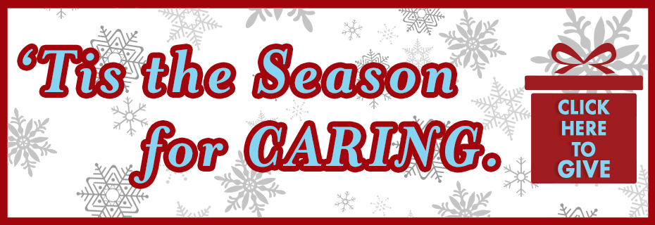 Frisco Family Services Home