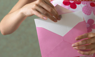Wedding Packages