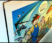 Wall &amp; Window Graphics
