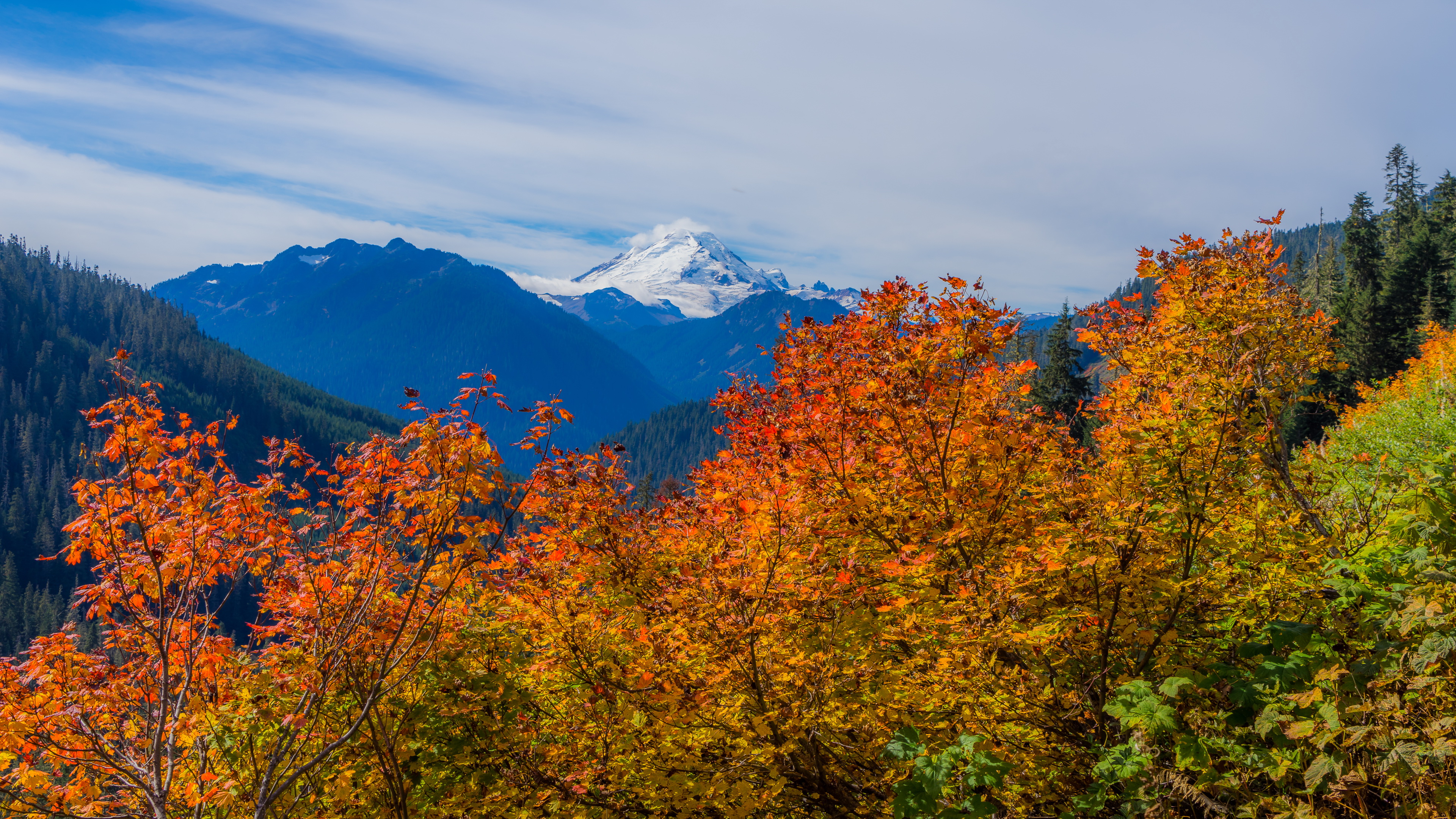 Leaders Change Seasons