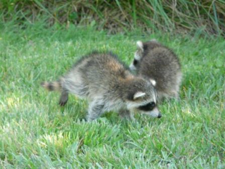 Photo courtesy of Steve & Barbara Sharkey
