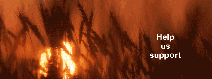 http://cdn.firespring.com/images/7/7/6/8/5/73c1569c-7f9e-6034-84be-55565b1c16d0.gif