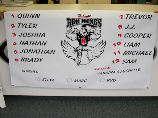 Little League Banner