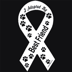 I adopted my best friend magnet (ribbon style) - $5.00