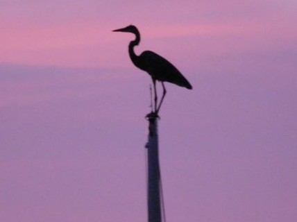 Photo courtesy of Steve & Barbara Sharkey