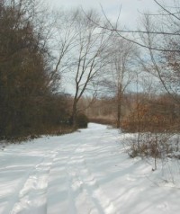 May I bring my cross country skis if it snows?