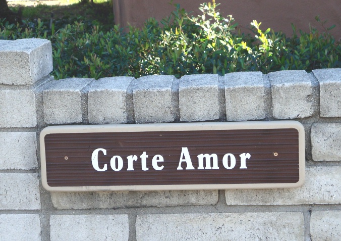 H17026 - Custom Street Name Sign Mounted on Wall