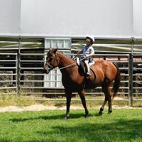 Public Horse Camp