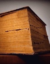 Glossary Of Terms