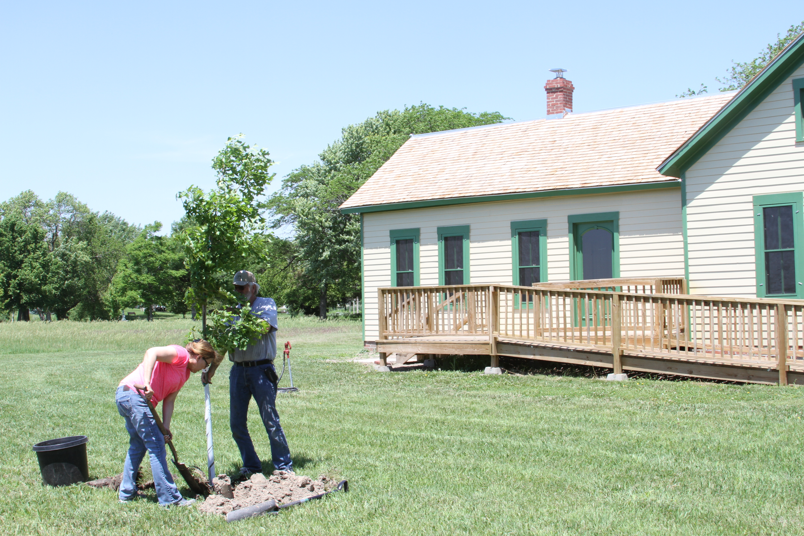 Legacy of Trees Alive at Stuhr Cabin