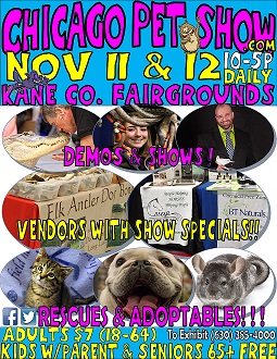 Chicago Pet show