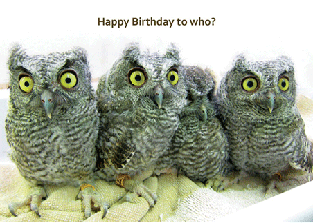 Birthday