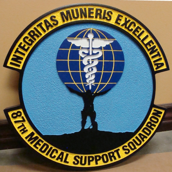 V31572 - Air Force Medical Group Plaque