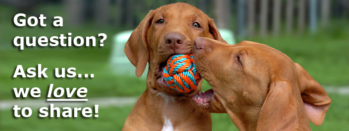 Ask us... we love to share!