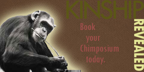 Visit the chimpanzees: Book your Chimposium today!