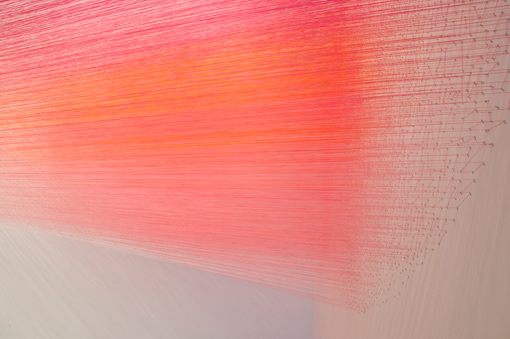 Anne Lindberg, drawn pink (2012)