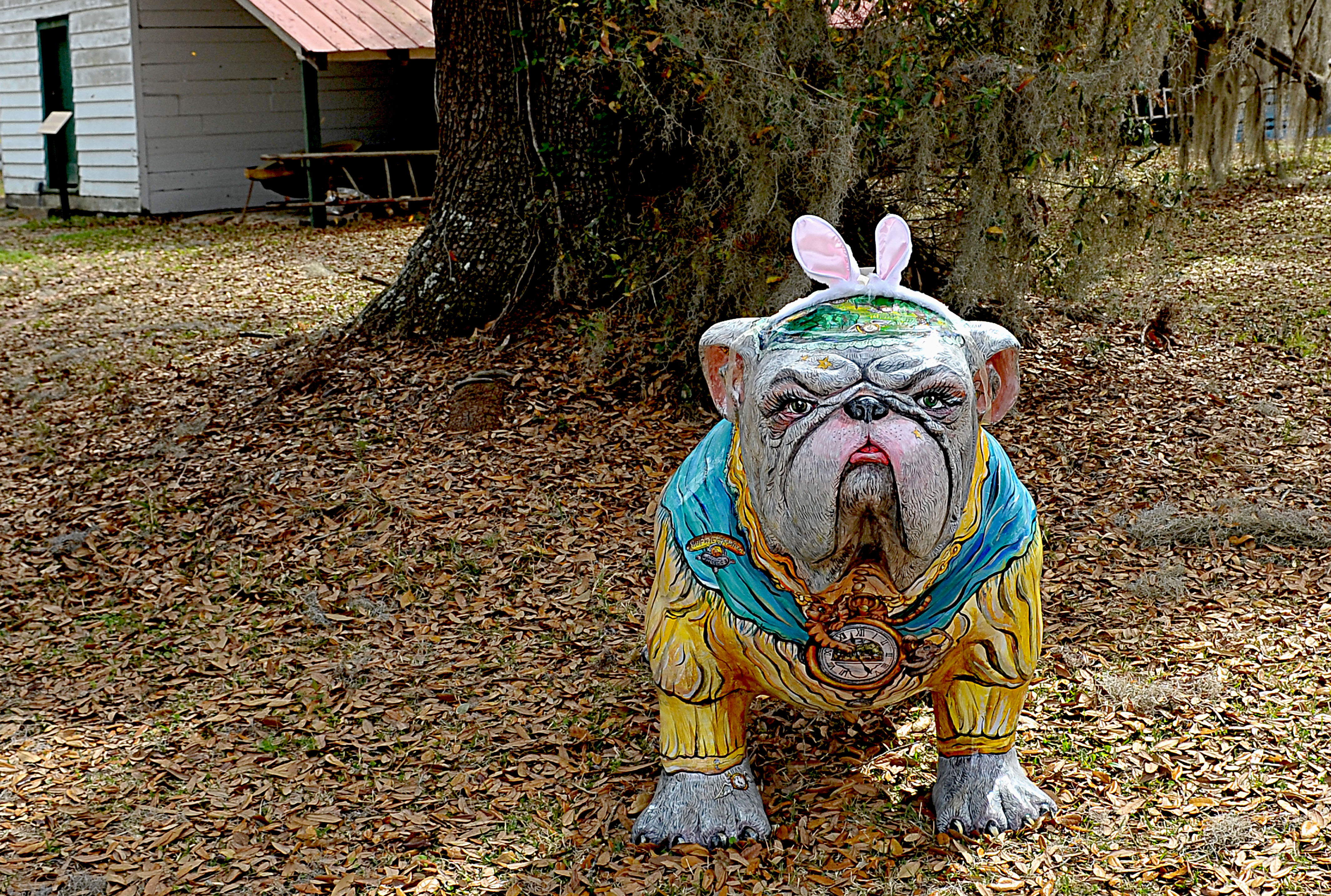 Sponsor: Friends & Neighbor's of Hofwyl Broadfield Plantation
