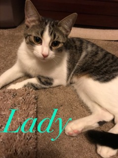 Lady adopted 021718