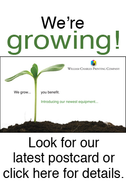 Our Latest Mailing