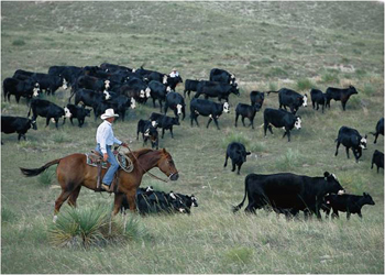 Can the Path be Altered? Salvaging and Renewing Communities of the Rural Plains