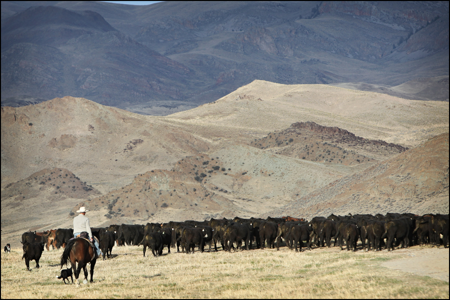 School Time for Ranch Managers