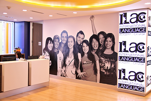 Custom Banners & Wall Murals