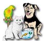Pet Supplies Plus