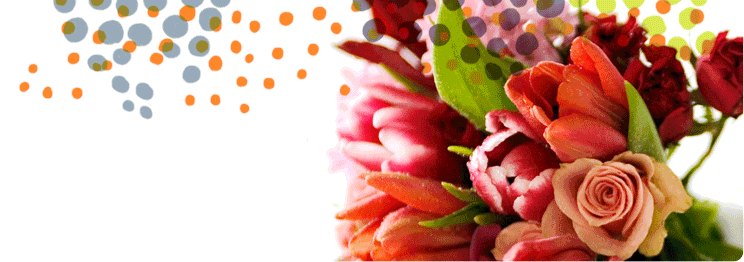 http://cdn.firespring.com/images/8/3/c/5/6/89e863f1-340b-ce69-5213-6a3592460e61.gif