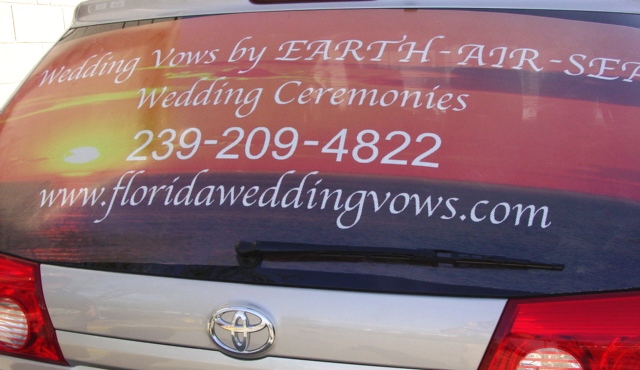 Window Perforated Vinyl