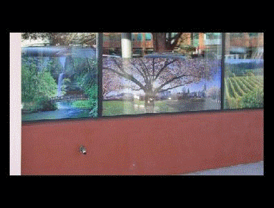 Wall and Window Graphics
