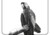http://cdn.firespring.com/images/8/7/e/0/4/8ce93e89-72f2-e666-0299-41b41b08e623.gif
