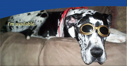 Adopt A Dane