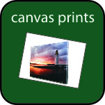 Canvas Prints
