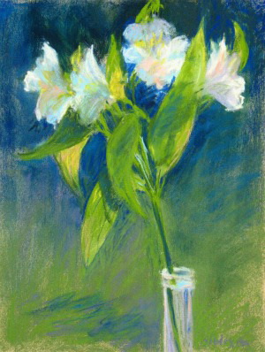 Gail Sibley - Alstromeria