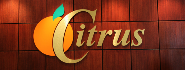Architectural - 3Dimensional Logo Lettering