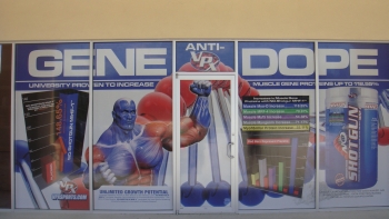 Two Way Window Film Store Front