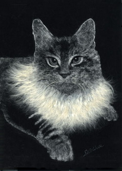 Donna Wilk