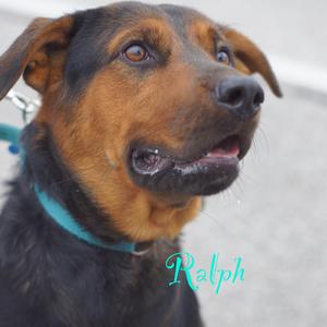 Ralph