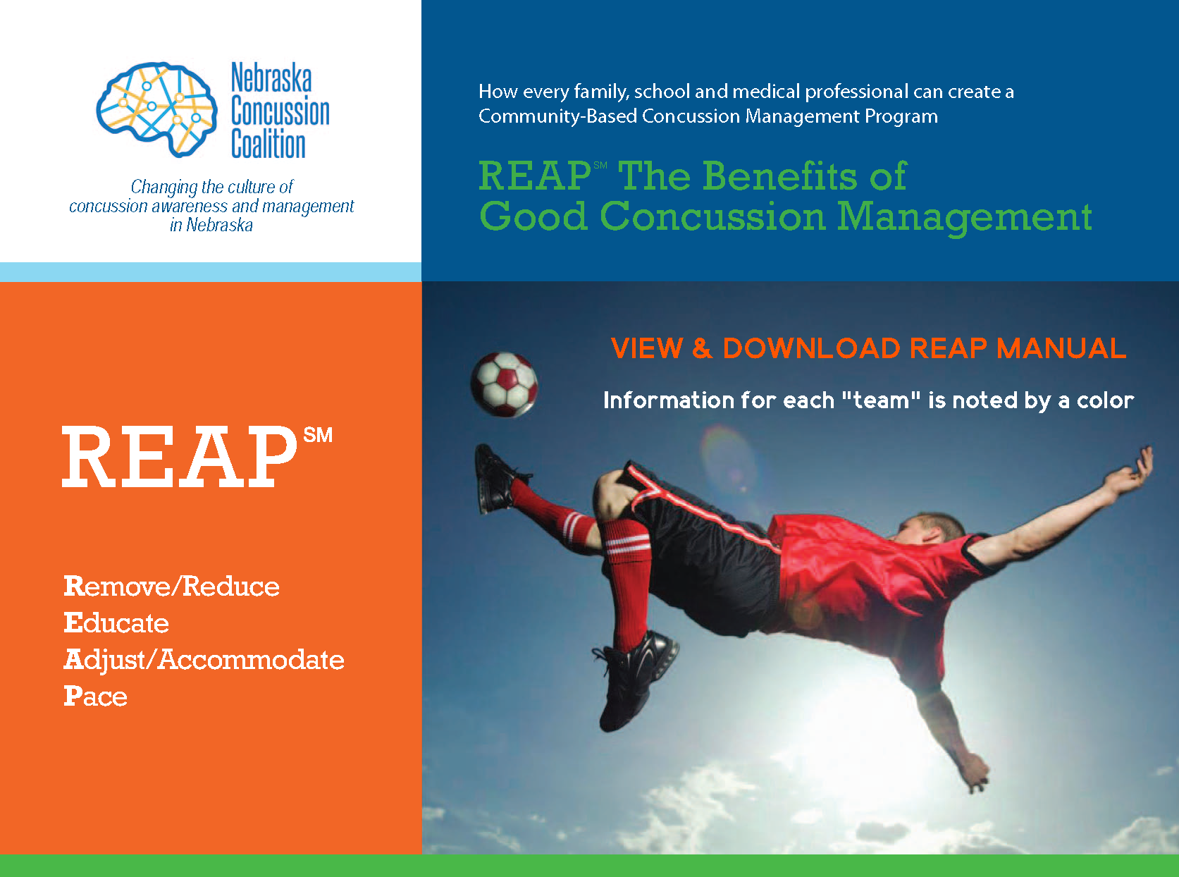 Brain Injury Alliance of Nebraska Concussion REAP Manual Training