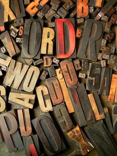 Glossary Of Terms
