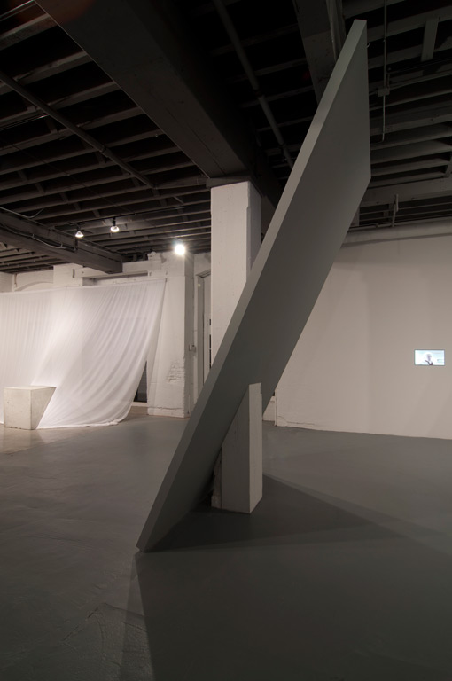 Letha Wilson, Ghost of a Tree (2011)