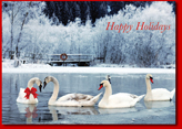 The Holiday Card Website