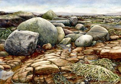 Sombrio Shoreline