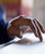 Arts in Education