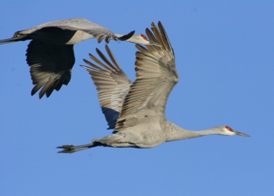 RCS and the Nebraska Nature and Visitor Center create list of area attractions
