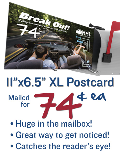 XL Postcard