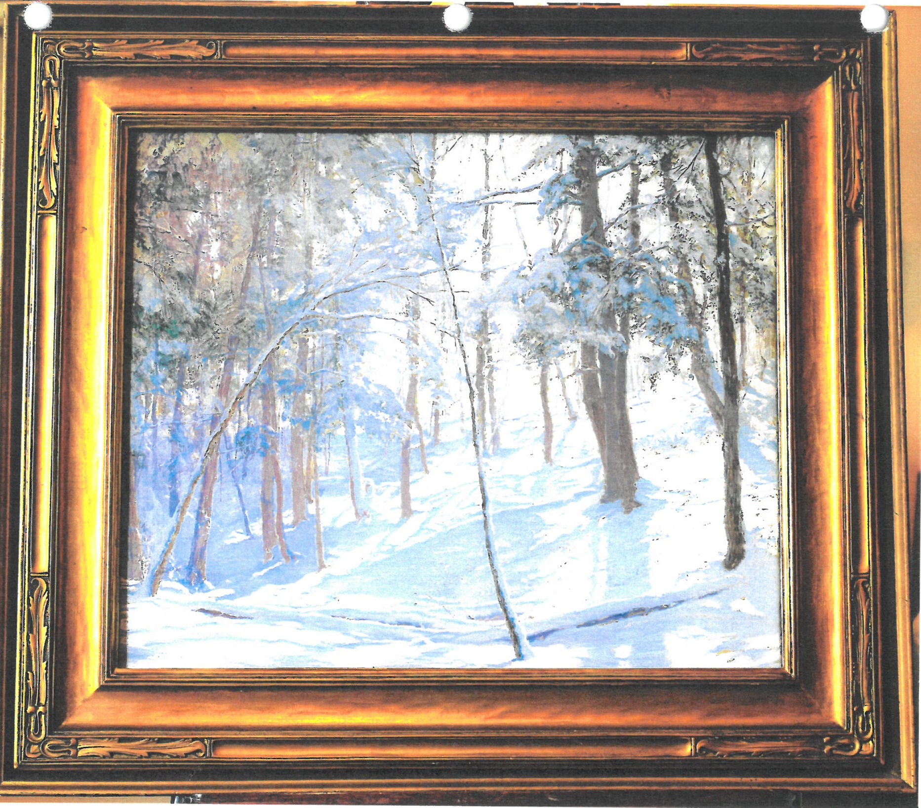 Winter Snow Scene